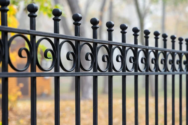 Image Beautiful Decorative Cast Iron Wrought Fence Artistic Forging Metal — Stock Photo, Image