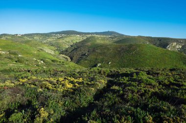 Dağların ve gökyüzünün arka planına uzanan çayırın güzel manzarası.