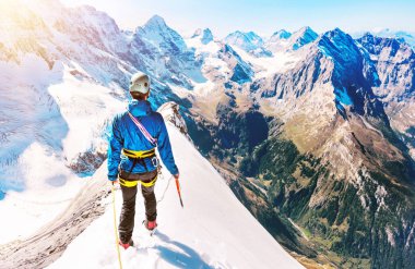 Bir grup dağcı dağın zirvesine ulaşır. Tırmanma ve dağcılık sporu. Takım çalışması konsepti.