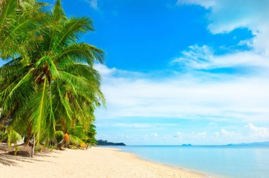 Güzel bir plaj. Etrafında palmiye ile güzel tropikal plaj manzarası. Tatil ve tatil konsepti. Tropik plaj. Güzel tropik ada.