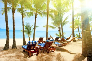 Güzel sahil. Sahildeki iki palmiye ağacının arasındaki hamak. Tatil ve tatil konsepti. Tropik plaj. Güzel tropikal ada.