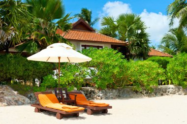 Güzel sahil. Plajdaki palmiye ağaçları arasında sandalyeler. Tatil ve tatil konsepti. Tropik plaj. Güzel tropikal ada.