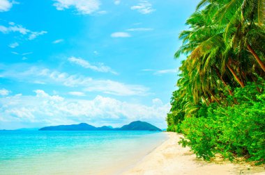 Güzel bir plaj. Etrafında palmiye ile güzel tropikal plaj manzarası. Tatil ve tatil konsepti. Tropik plaj. Güzel tropik ada.