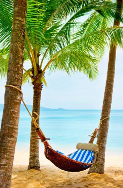 Güzel sahil. Sahildeki iki palmiye ağacının arasındaki hamak. Tatil ve tatil konsepti. Tropik plaj. Güzel tropikal ada.