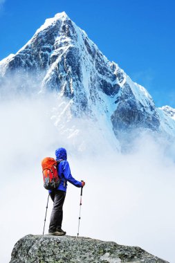 Uzun yürüyüşe çıkan kimse sırt çantaları ile dağ tepe zirvesine ulaşır. Başarı başarı dağlarda özgürlük ve mutluluk. Aktif spor kavramı.