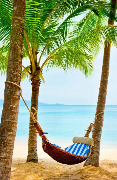 Schöner Strand. Hängematte zwischen zwei Palmen am Strand. Urlaub und Urlaubskonzept. Tropenstrand. schöne tropische Insel. — Stockfoto