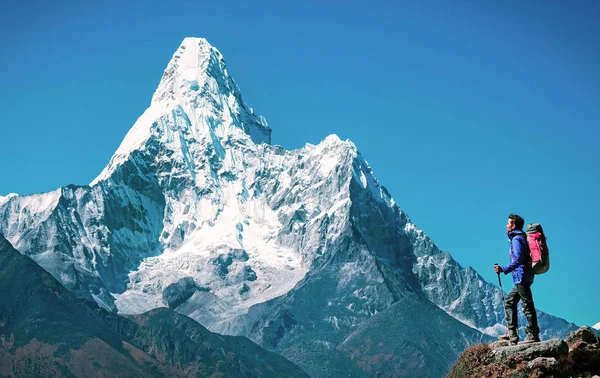 Πεζοπόρος με σακίδια φτάνει στην κορυφή του βουνού. Επιτυχία, ελευθερία και ευτυχία, επίτευγμα στα βουνά. Έννοια του ενεργού αθλητισμού. — Φωτογραφία Αρχείου