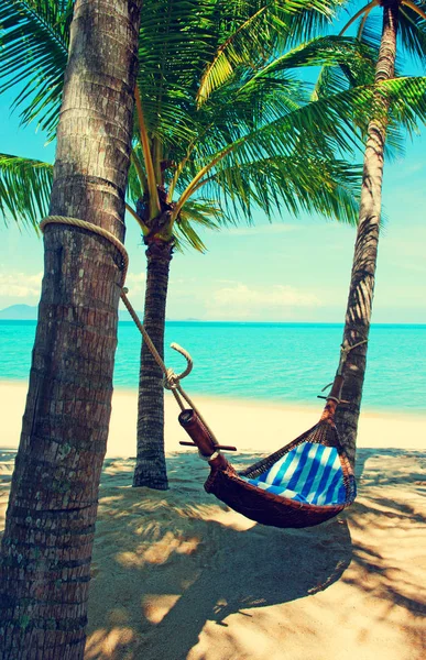 Bellissima spiaggia. Vista di bella spiaggia tropicale con palme intorno. Vacanza e concetto di vacanza. Spiaggia tropicale. Bella isola tropicale . — Foto Stock
