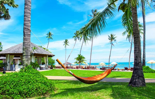 Krásná pláž. Houpací síť mezi dvěma palmami na pláži. Koncept dovolené a dovolené. Tropická pláž. Krásný tropický ostrov. — Stock fotografie