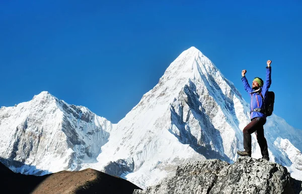 Uzun yürüyüşe çıkan kimse sırt çantaları ile dağ tepe zirvesine ulaşır. Başarı başarı dağlarda özgürlük ve mutluluk. Aktif spor kavramı.