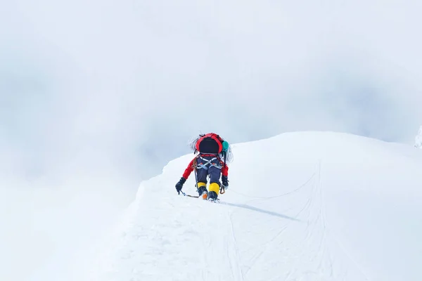 Grupo de escaladores con mochilas alcanza la cima del Everest pico de montaña. Éxito, libertad y felicidad, logro en las montañas. Concepto de deporte activo . Imagen de archivo