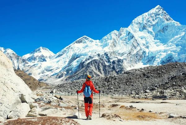 Піший турист з рюкзаками досягає вершини гірського піку. Успіх, свобода і щастя, досягнення в горах. Концепція активного спорту . Стокове Зображення