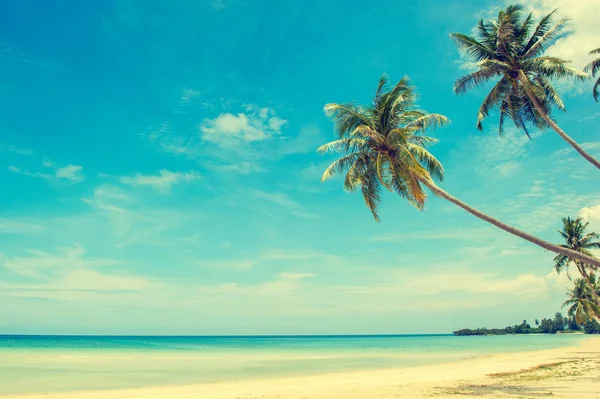 Prachtig strand. Uitzicht op het mooie tropische strand met palmen rond. Vakantie-en vakantie concept. Tropisch strand. Prachtig tropisch eiland. Stockafbeelding
