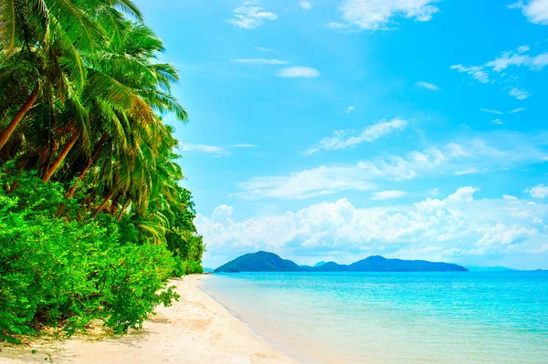 Vacker strand. Utsikt över den fina tropiska stranden med palmer runt om. Semester-och semesterkoncept. Tropisk strand. Vackra tropiska ön. Stockbild