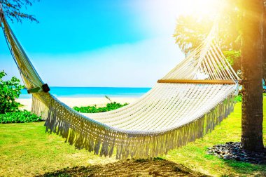Güzel sahil. Sahildeki iki palmiye ağacının arasındaki hamak. Tatil ve tatil konsepti. Tropik plaj. Güzel tropikal ada.