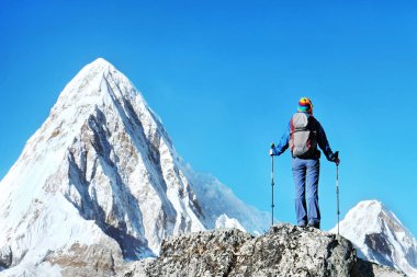 Uzun yürüyüşe çıkan kimse sırt çantaları ile dağ tepe zirvesine ulaşır. Başarı başarı dağlarda özgürlük ve mutluluk. Aktif spor kavramı.