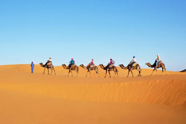 Caravana de camellos en el desierto del Sahara. Paisaje de dunas de arena en el desierto del Sahara, Marruecos — Foto de Stock