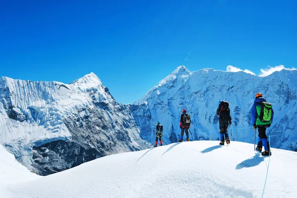 Wandel wandelaar met rugzakken bereikt de top van de bergtop. Succes vrijheid en geluk prestatie in bergen. Actief sport concept. — Stockfoto