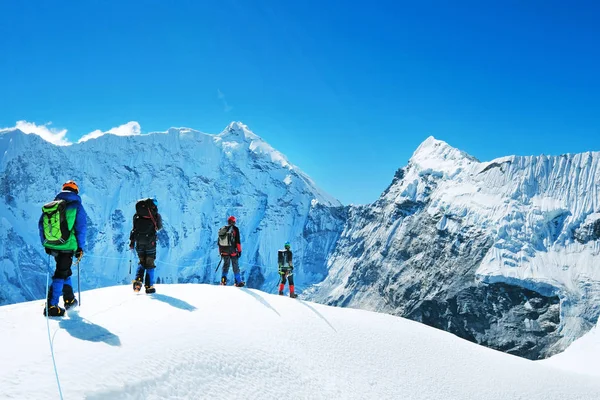 Vandrare med ryggsäckar når toppen av Mountain Peak. Framgång frihet och lycka prestation i berg. Aktivt sportkoncept. — Stockfoto