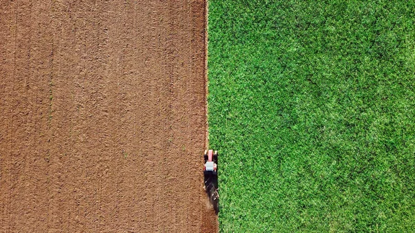 Macchine che raccolgono mais nel campo. Trattore falciatura campo verde. Agricoltura e concetto di agricoltura — Foto Stock
