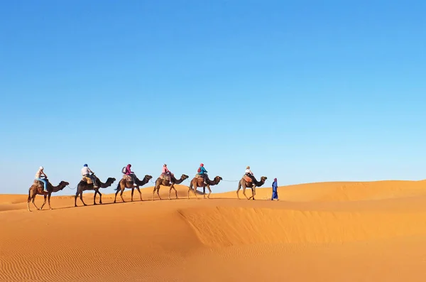 Velbloudí karavana procházející písečnými dunami v poušti Sahara, Maroko — Stock fotografie