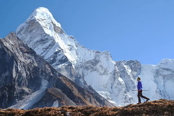 Homme équipé grimpeur atteint le sommet du sommet de la montagne en profitant de la vue sur le paysage. Succès, liberté et bonheur, réussite en montagne. Concept de sport d'escalade Image En Vente