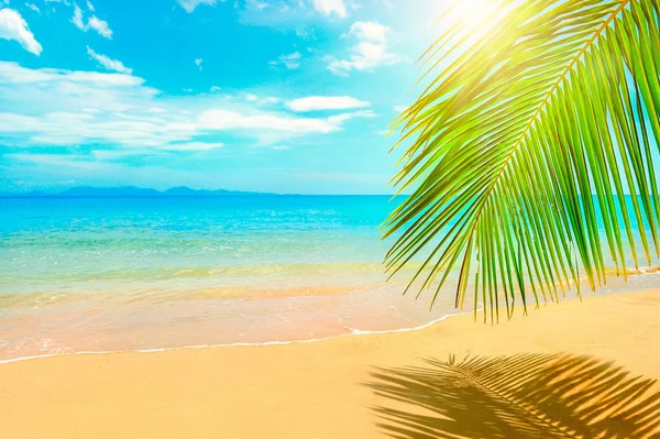 Schöner Strand. Blick auf schönen tropischen Strand mit Palmen herum. Urlaub und Urlaubskonzept. Tropenstrand. schöne tropische Insel. — Stockfoto