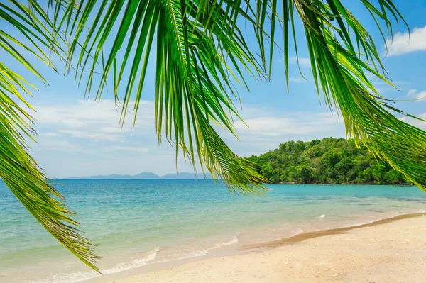 Prachtig strand. Uitzicht op het mooie tropische strand met palmen rond. Vakantie-en vakantie concept. Tropisch strand. Prachtig tropisch eiland. — Stockfoto