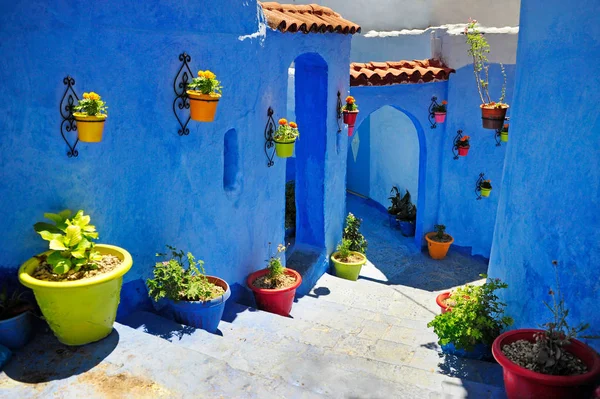 Typical beautiful moroccan architecture in Chefchaouen blue city medina in Morocco with blue walls, details, colorful flower pots and household items — Stock Photo, Image