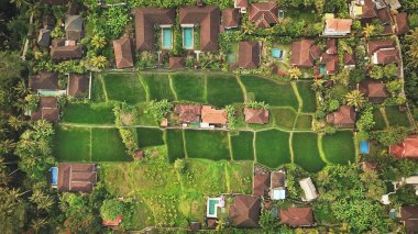 Yüzme havuzları ve yeşil pirinç tarlaları ile kırmızı çatılar evlerin hava üst görünümü. Ubud, Bali, Endonezya
