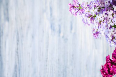 ahşap bir zemin üzerine yeşil