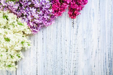 ahşap bir zemin üzerine yeşil