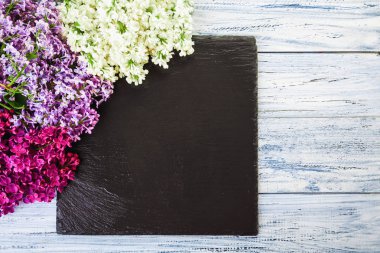 ahşap bir zemin üzerine yeşil