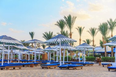 şezlong ve şemsiyeler kumlu plaj