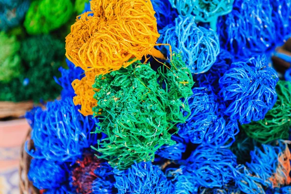 Algas secas de color — Foto de Stock