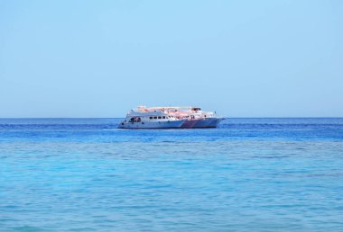 Dalış ve şnorkel Kızıldeniz'için yer