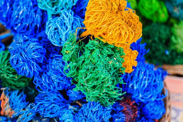Algas secas de color — Foto de Stock