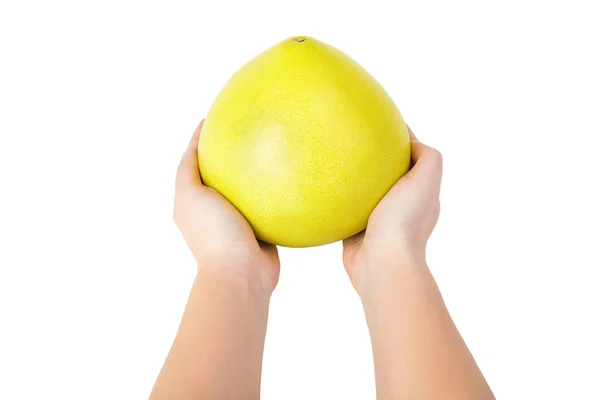 Hands holding whole ripe juicy pomelo citrus fruit — Stock Photo, Image