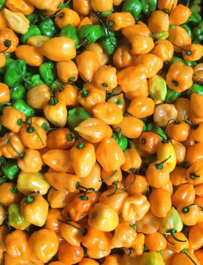 Grup çiğ yeşil ve turuncu biber desen