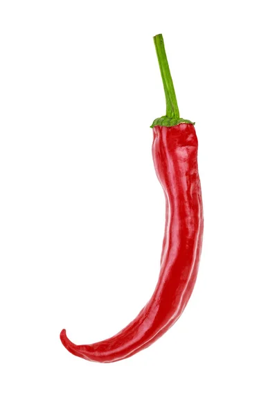 Een hete rode jalapeno peper op witte achtergrond — Stockfoto