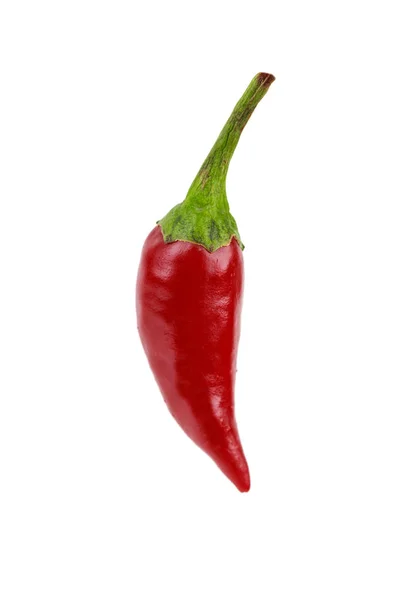 Een Rode Hete Chili Peper Jalapeno Geïsoleerd Witte Achtergrond Horizontale — Stockfoto