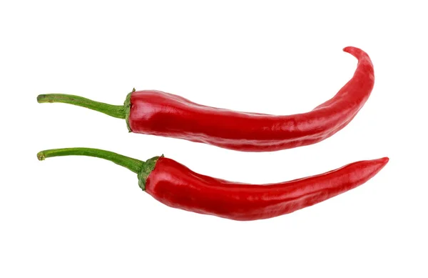 Two hot red jalapeno peppers on white background — Stock Photo, Image