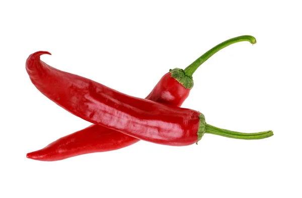 Twee Red Hot Chilli Peppers Jalapeno Geïsoleerd Witte Achtergrond Horizontale — Stockfoto