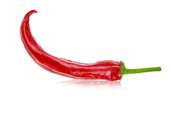 Chipotle Red Hot Chilipeper Geïsoleerd Witte Achtergrond — Stockfoto