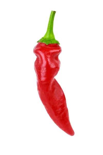 Chipotle Red Hot Chili Pepper Isolated White Background — Stock Photo, Image