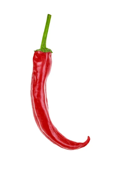 Chipotle Red Hot Chilipeper Geïsoleerd Witte Achtergrond — Stockfoto