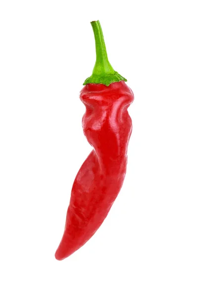 Chipotle Red Hot Chili Pepper Isolated White Background Vertical — Stock Photo, Image