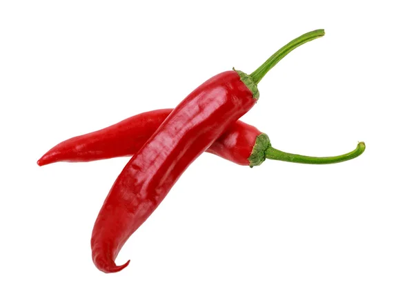 Two Red Hot Chilli Peppers Jalapeno Isolated White Background Horizontal — Stock Photo, Image