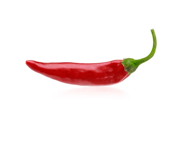 Chipotle Red Hot Chili Pepper Isolated White Background — Stock Photo, Image