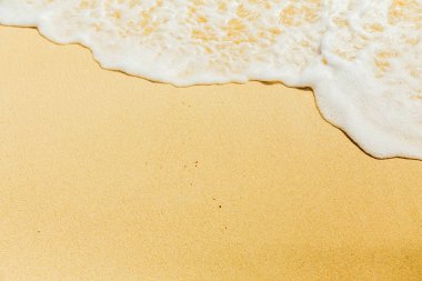 Kumda deniz köpüğü